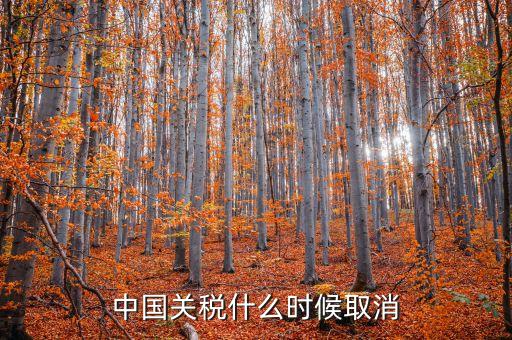 中國什么時(shí)候取消關(guān)稅，中國應(yīng)該在哪年取消關(guān)稅