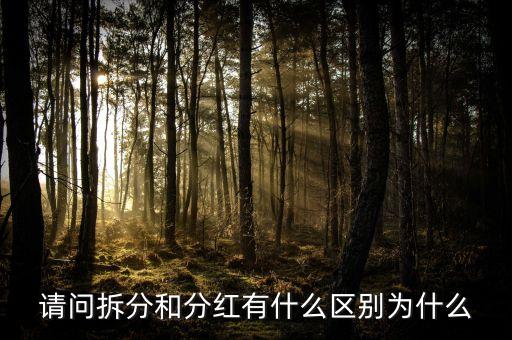 請問拆分和分紅有什么區(qū)別為什么