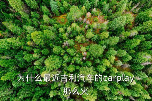 奧迪carplay是什么意思，有誰(shuí)知道CarLife怎樣連接奧迪