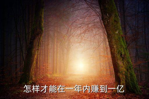 做什么生意一年賺1億，怎樣才能在一年內(nèi)賺到一億