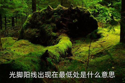 光腳陽(yáng)線出現(xiàn)在最低處是什么意思