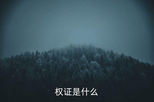 什么是定向權(quán)證，權(quán)證是什么意思