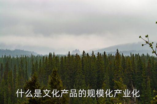 什么是規(guī)模化經(jīng)營(yíng)，用戶規(guī)模化是什么意思