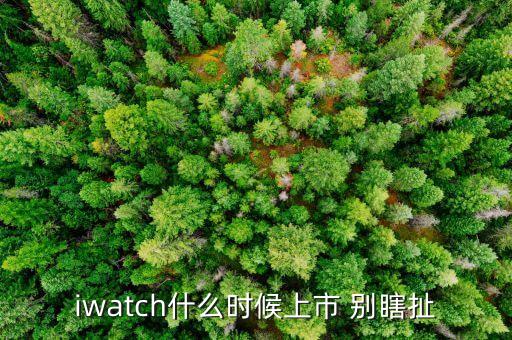 iwatch什么時候上市 別瞎扯