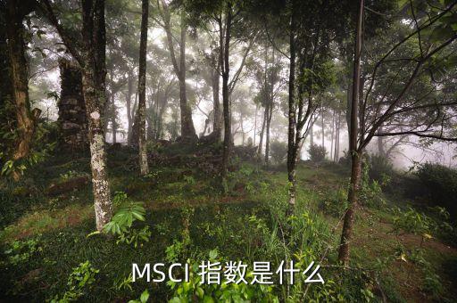 MSCI 指數是什么