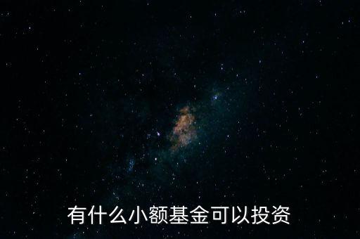 國家有什么基金可以借用的，我國有聯(lián)接基金嗎是哪幾只