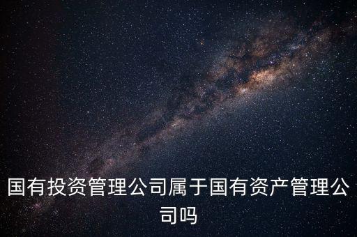 國有投資管理公司屬于國有資產(chǎn)管理公司嗎