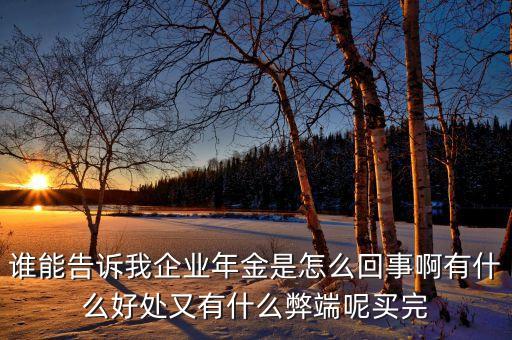 誰能告訴我企業(yè)年金是怎么回事啊有什么好處又有什么弊端呢買完