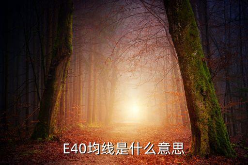 股票e40是什么，E40是什么