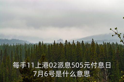 每手11上港02派息505元付息日7月6號(hào)是什么意思