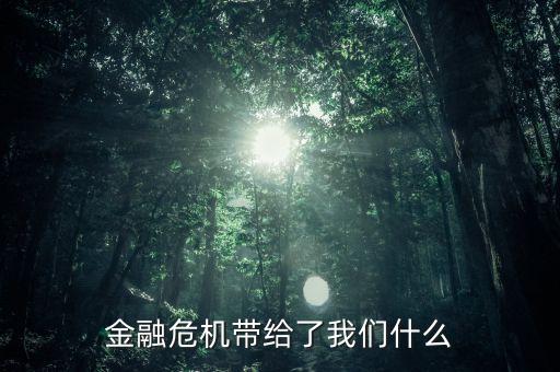 金融危機帶給了我們什么