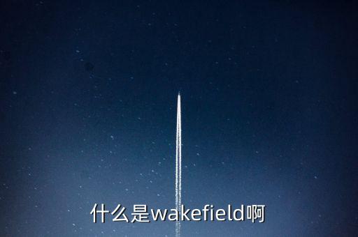 什么是wakefield啊