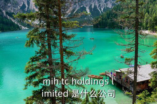 mih tc holdings limited 是什么公司