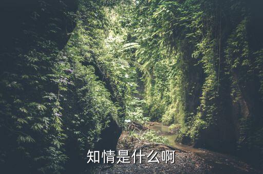 知情是什么啊