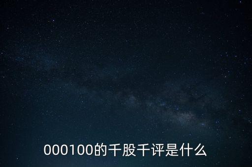 000100的千股千評(píng)是什么