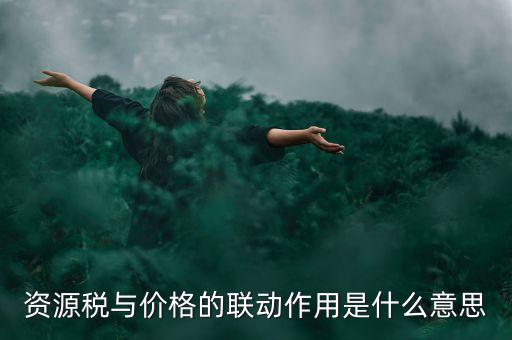 資源稅與價格的聯(lián)動作用是什么意思