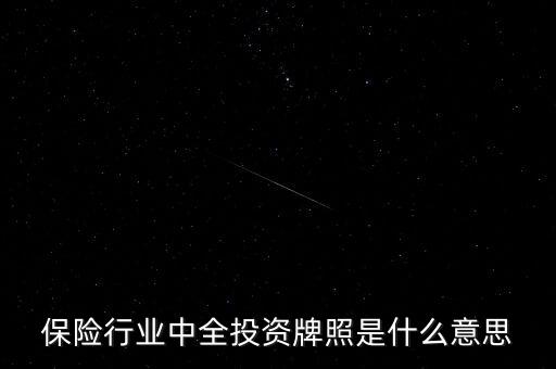 保險行業(yè)中全投資牌照是什么意思