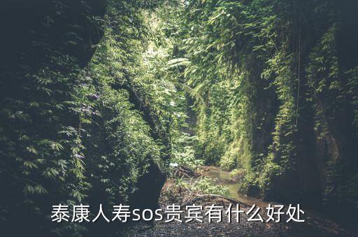 泰康人壽sos貴賓有什么好處