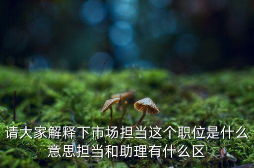 賣場擔當是什么，什么是門面擔當