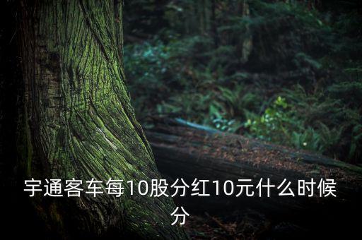 宇通客車每10股分紅10元什么時(shí)候分