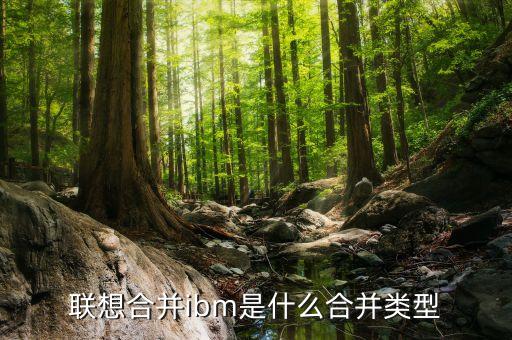 聯(lián)想合并ibm是什么合并類型