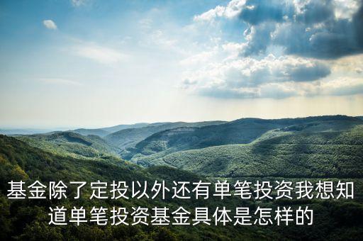 基金除了定投以外還有單筆投資我想知道單筆投資基金具體是怎樣的