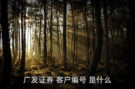 廣發(fā)證券 客戶(hù)編號(hào) 是什么