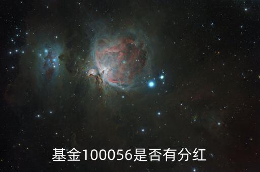 基金100056投什么股票，100056基金屬于那種股票