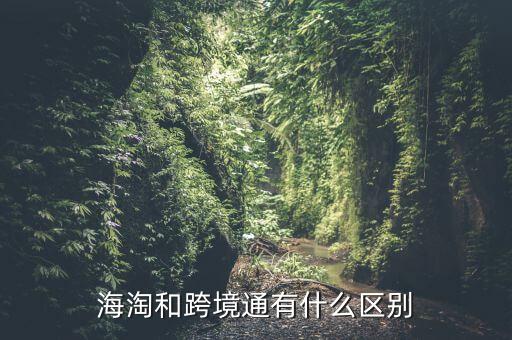 海淘和跨境通有什么區(qū)別