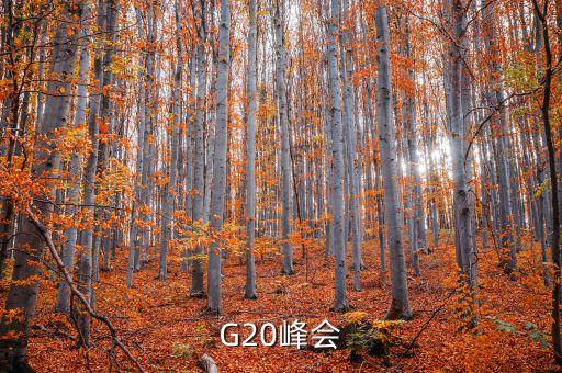 G20峰會(huì)