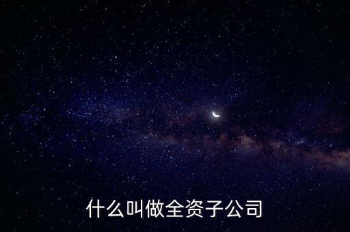 什么是全資子公司，什么叫做全資子公司