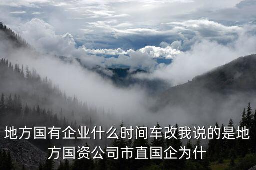 地方國有企業(yè)什么時(shí)間車改我說的是地方國資公司市直國企為什