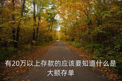 有20萬以上存款的應(yīng)該要知道什么是大額存單