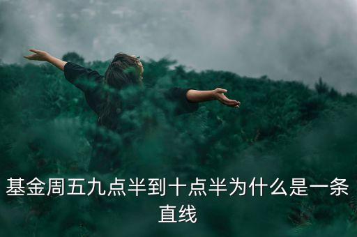 基金周五九點(diǎn)半到十點(diǎn)半為什么是一條直線