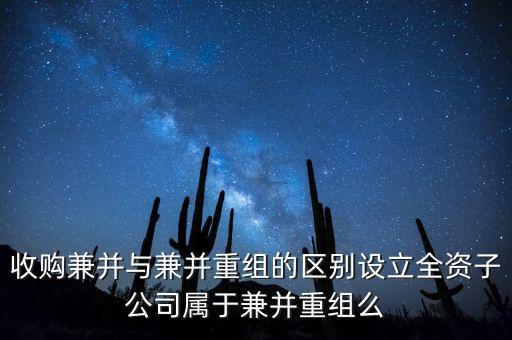 新設(shè)立子公司算什么合并，新設(shè)立1全資子公司算同1控制下合并