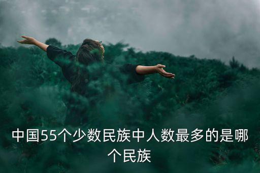 中國55個少數(shù)民族中人數(shù)最多的是哪個民族