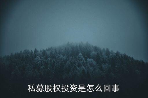 私募股權(quán)投資是怎么回事