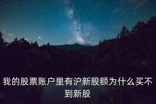 我的股票賬戶里有滬新股額為什么買不到新股