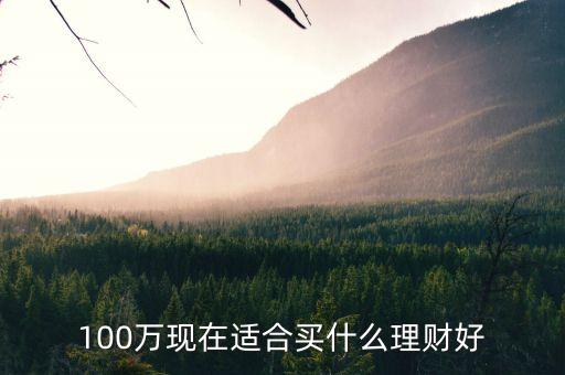 100萬(wàn)現(xiàn)在適合買什么理財(cái)好