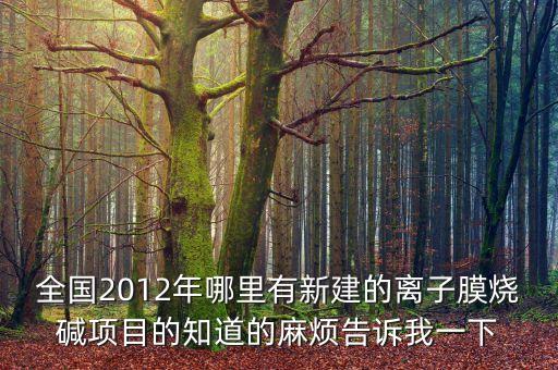 全國2012年哪里有新建的離子膜燒堿項目的知道的麻煩告訴我一下