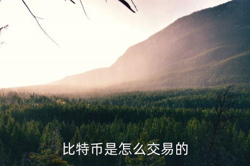 比特幣為什么能交易，比特幣是怎么交易的