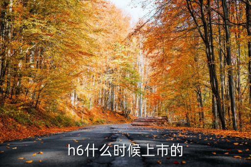 h6什么時候上市的