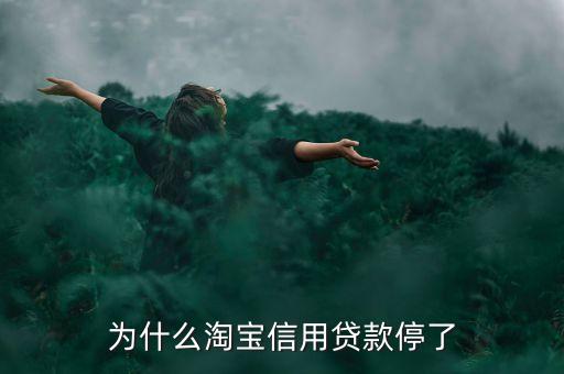 為什么淘寶信用貸款停了