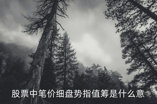 股票中筆價(jià)細(xì)盤勢指值籌是什么意