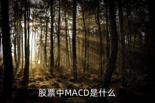 股市MACD線是什么意思，股票中MACD是什么意思