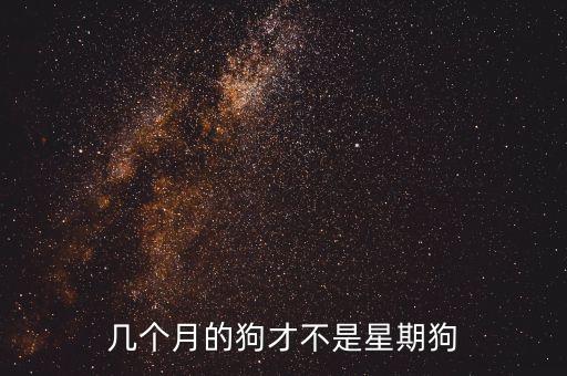 幾個(gè)月的狗才不是星期狗