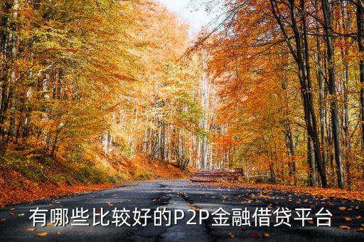 有哪些比較好的P2P金融借貸平臺(tái)