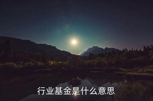 行業(yè)基金是什么意思，行業(yè)基金是什么意思 謝謝