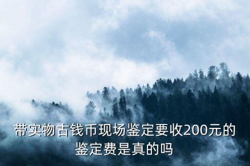 帶實(shí)物古錢幣現(xiàn)場(chǎng)鑒定要收200元的鑒定費(fèi)是真的嗎