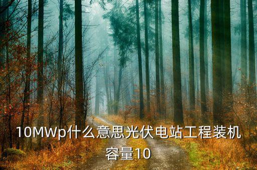 10MWp什么意思光伏電站工程裝機容量10